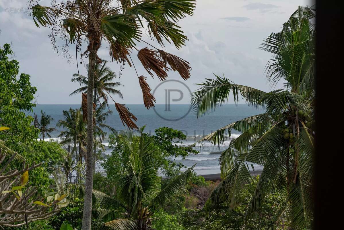 Domaine Colonial de Luxe Intemporel  Rare Résidence Familiale en Pleine Propriété près de Canggu, Bali - photo 25