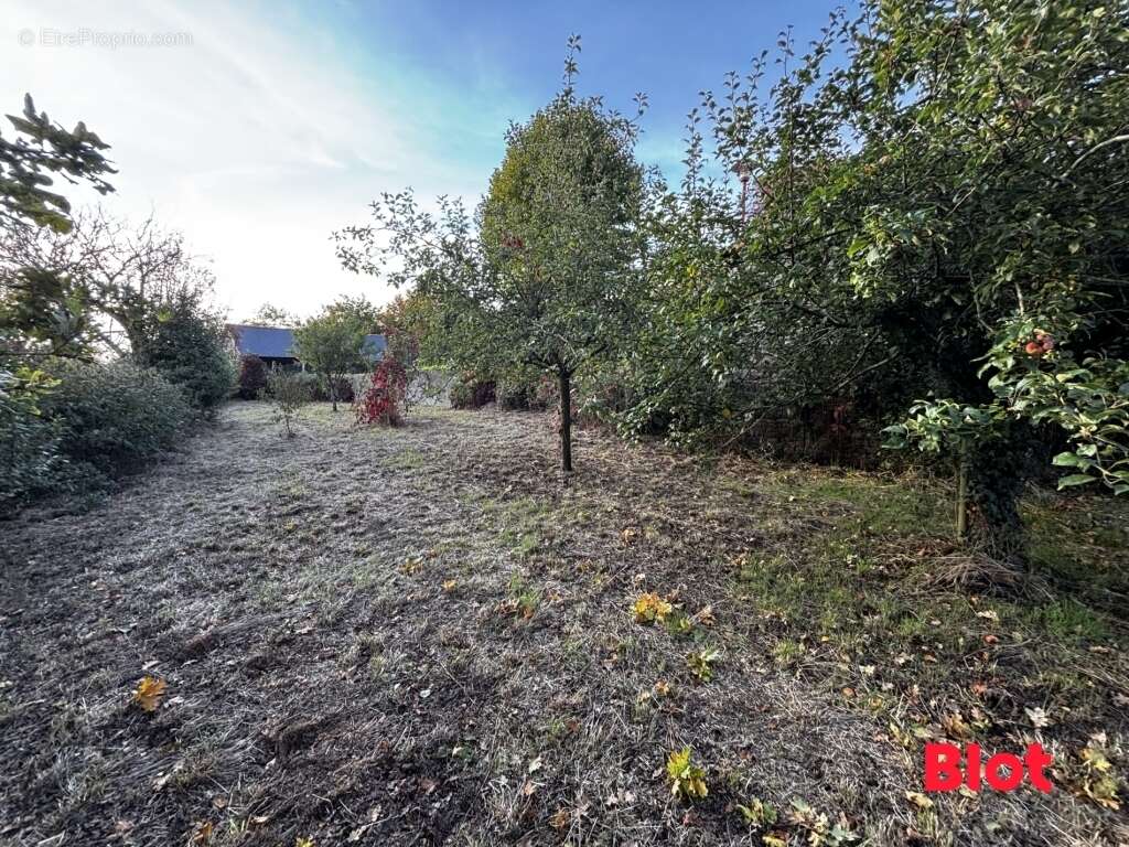 Maison à SAINT-GERMAIN-SUR-ILLE