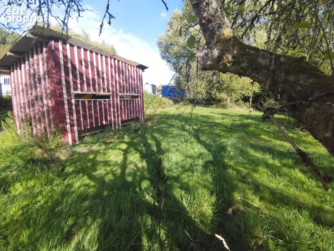 Etangs, Chalets : Domaine de 3 ha avec 3 étangs vidangeables - photo 3
