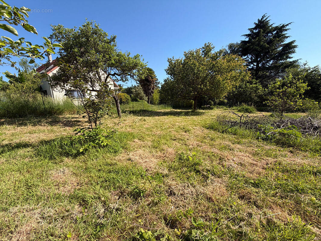 Terrain à LINAS