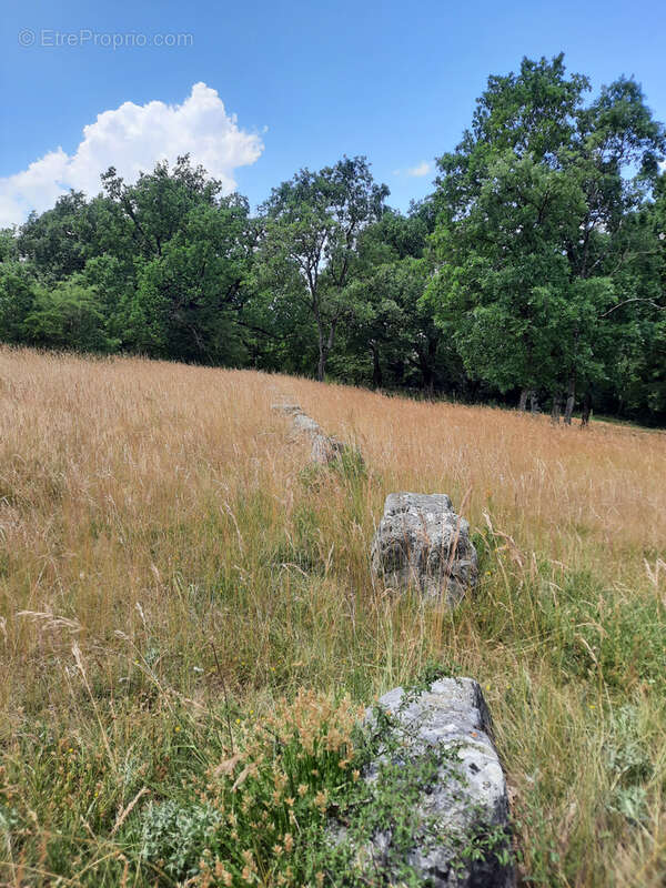 Une opportunité rare au cœur du Larzac : 9 128 m2 pour concrétiser vos projets touristiques ou de loisirs - photo 3