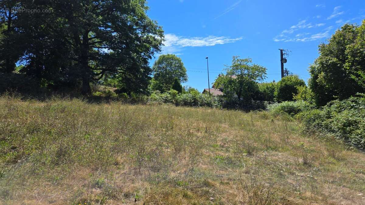 Terrain constructible  + agricole - environnement campagne - photo 7