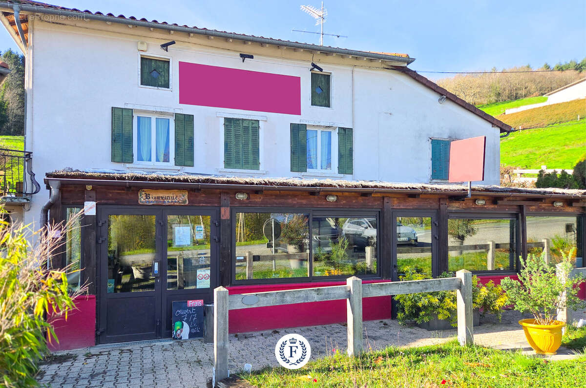 Commerce à LES ARDILLATS