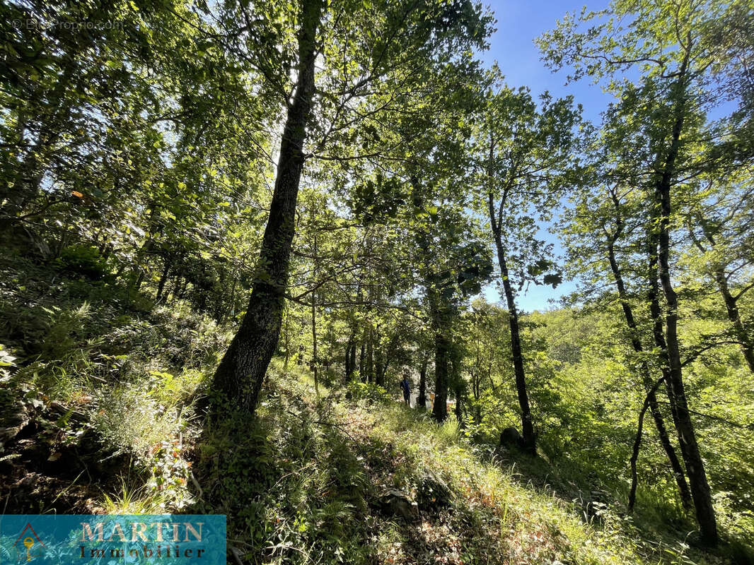 Terrain à MAUREILLAS-LAS-ILLAS