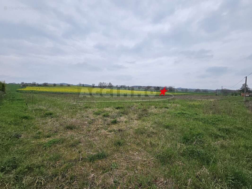 Terrain à MONTDRAGON