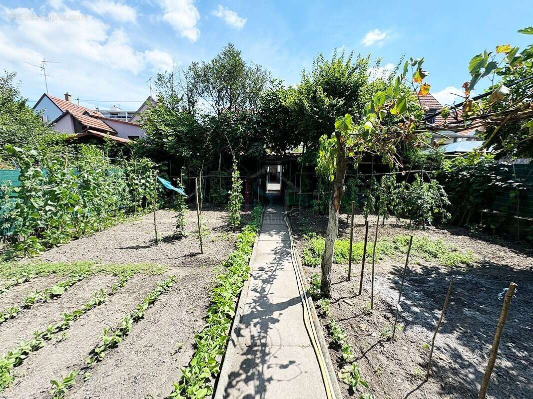 Maison à LINGOLSHEIM