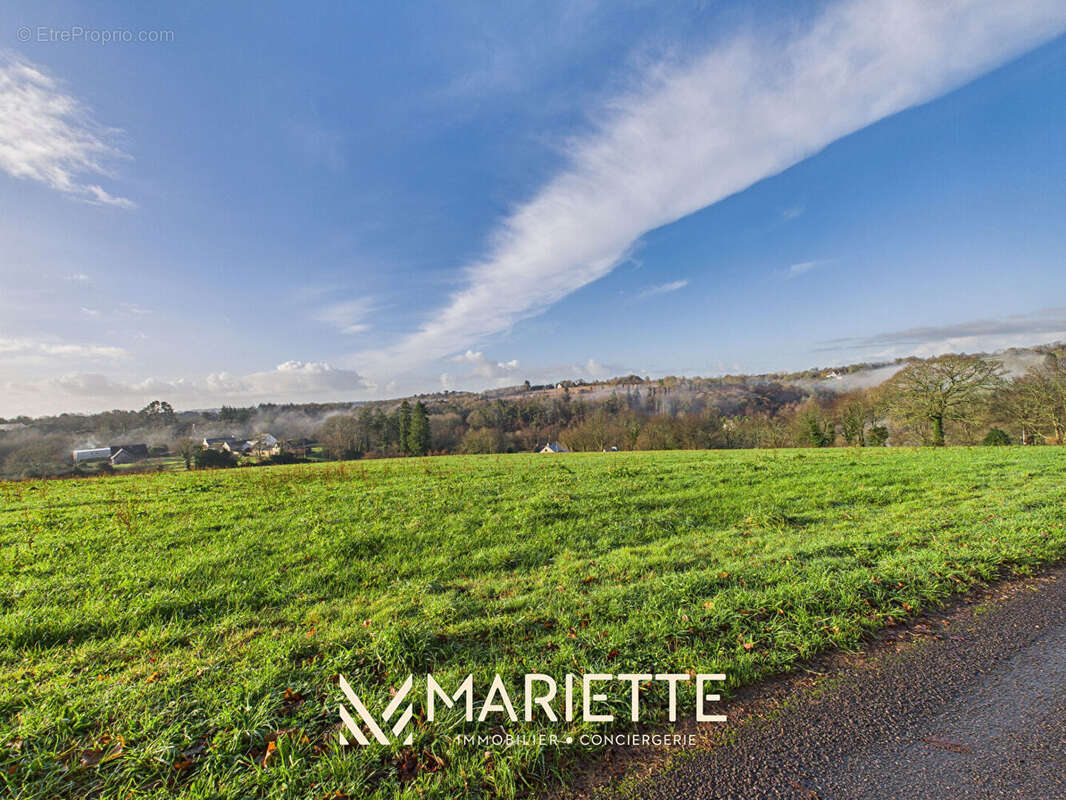 Terrain à ELLIANT