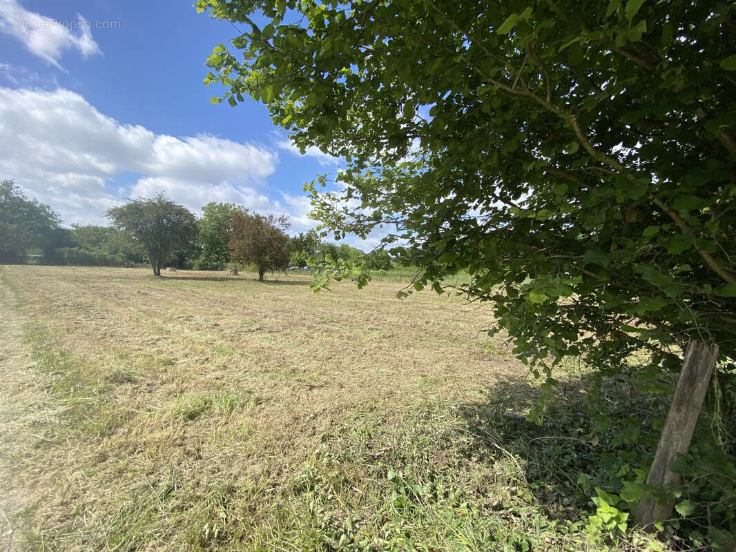 Terrain à LA RICHE