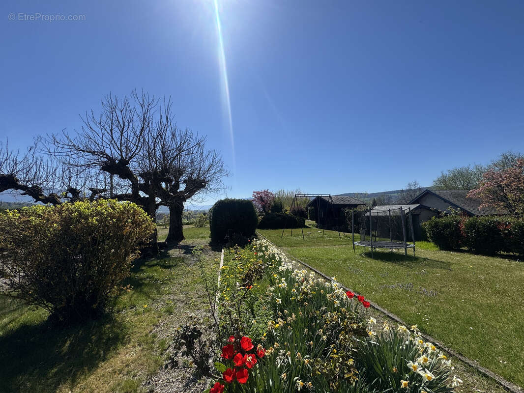 Terrain à SAINT-FELIX