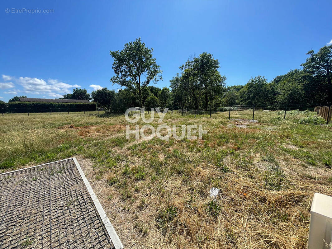 Terrain à PARENTIS-EN-BORN