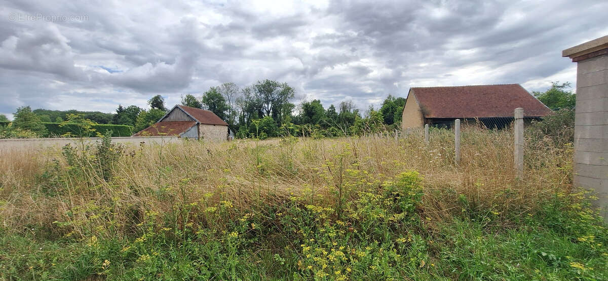 Terrain à VULAINES