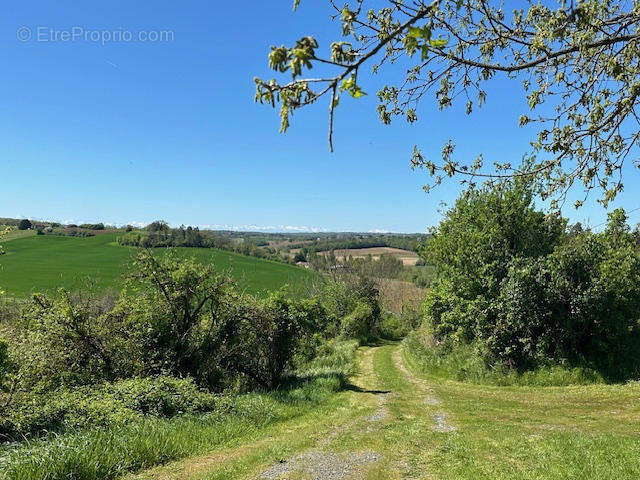 chemin et vue sur les pyrénées - Maison à VIC-FEZENSAC