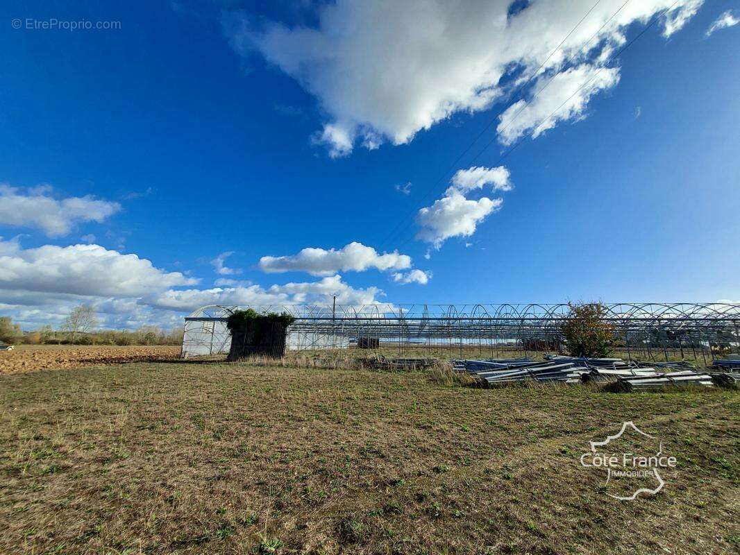 Terrain à LONGUEVILLE