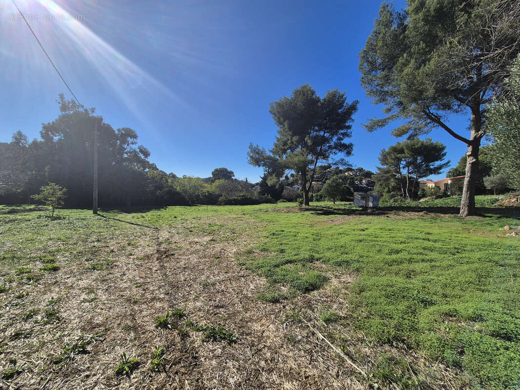 Terrain à LE PRADET