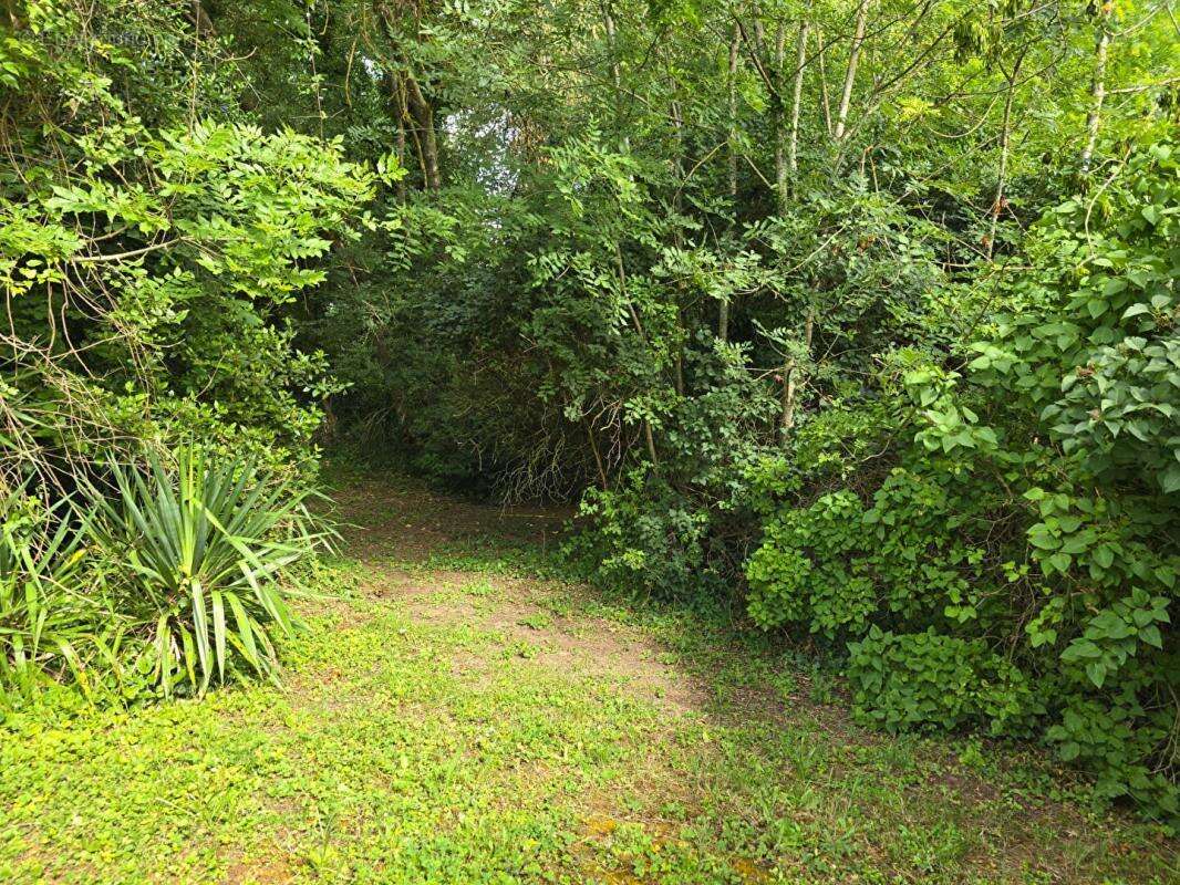 Terrain Palaiseau 853m² - possibilité création maison 140m² environ - photo 5
