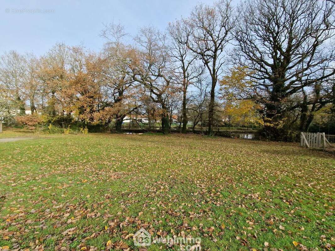 Terrain à VENANSAULT