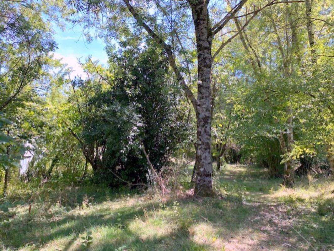 Propriete à vendre 4 pièces Proche de CERISIERS (89) - photo 4