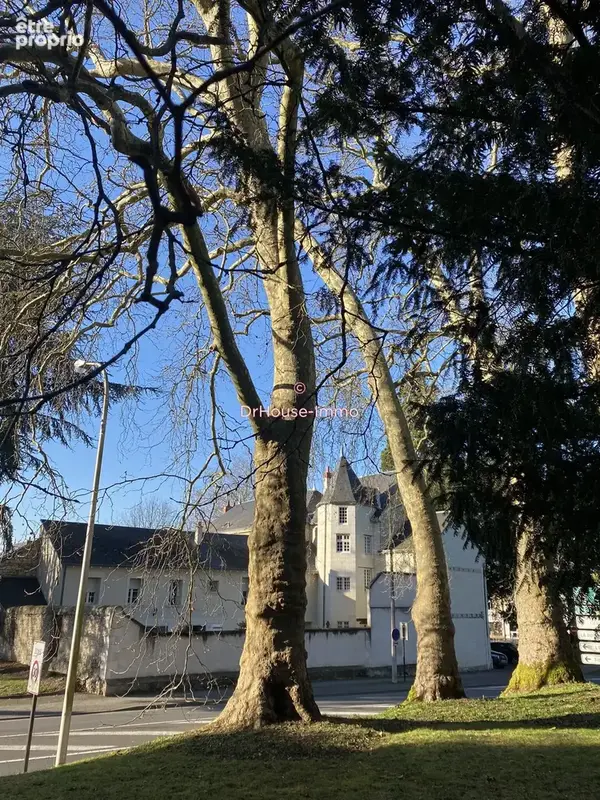 Maison 8 pièces 260 m² à vendre à Chatellerault (86100) - photo 5