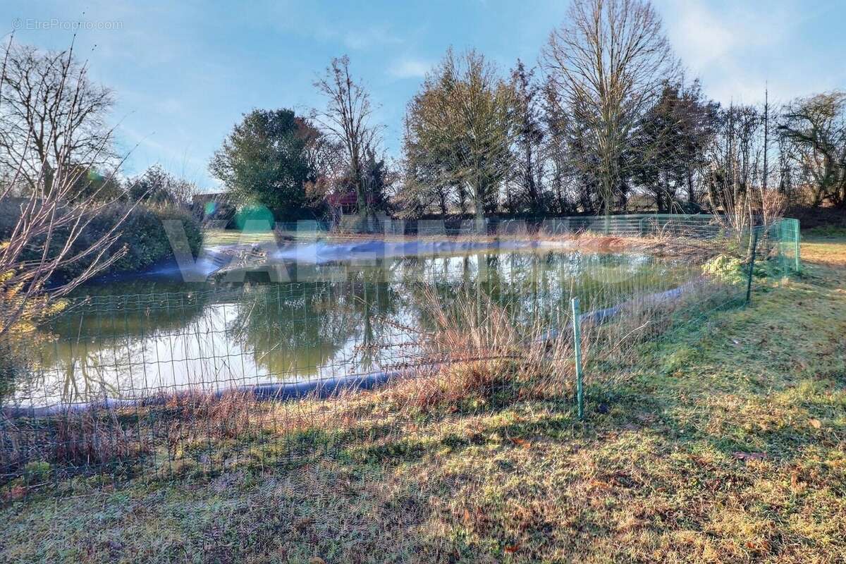 IMG_4075 - Maison à MARQUION