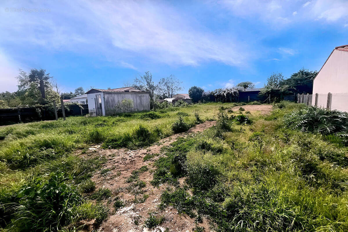 Terrain à VILLEDOUX