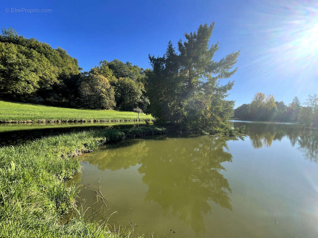 Terrain à VILLAMBLARD