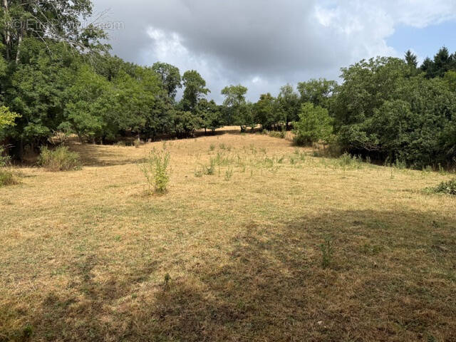 Terrain à MONTCEL