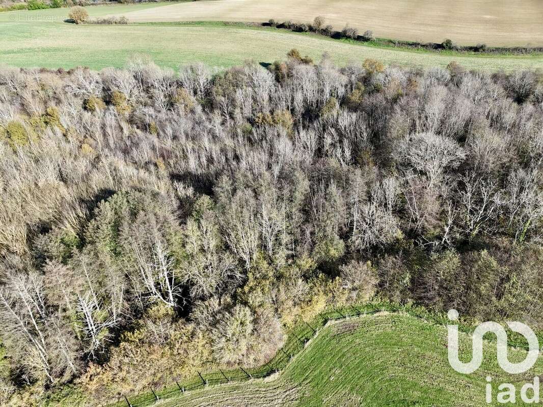 Photo 7 - Maison à MAREUIL