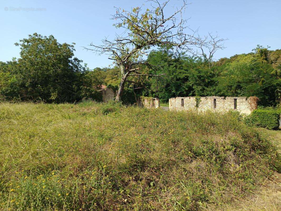 Terrain constructible de 1195 m² - photo 2