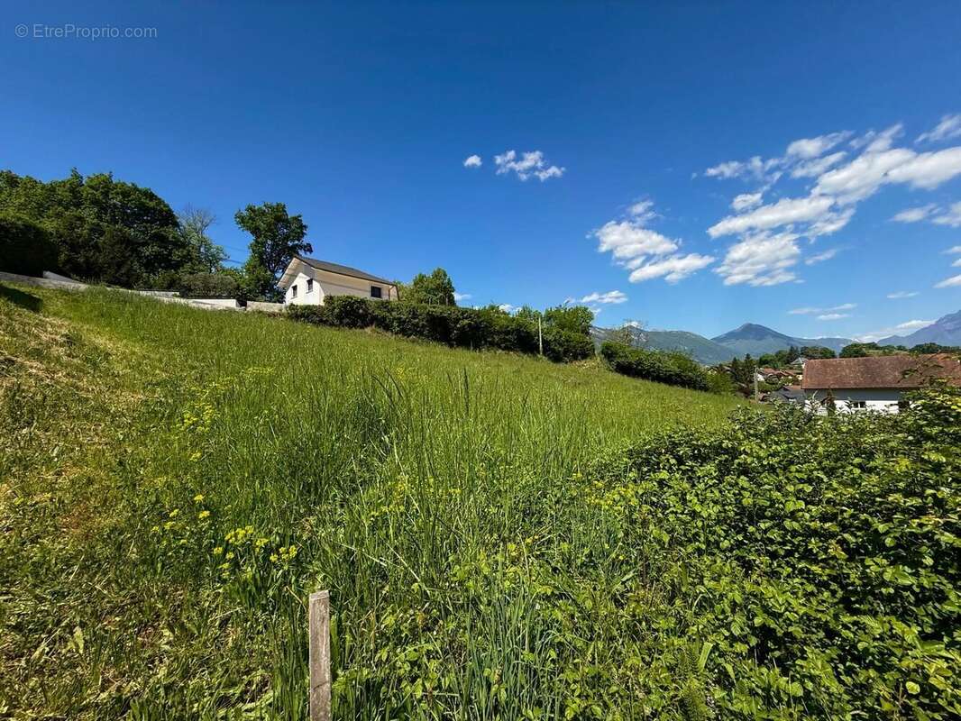 Terrain à LES MOLLETTES