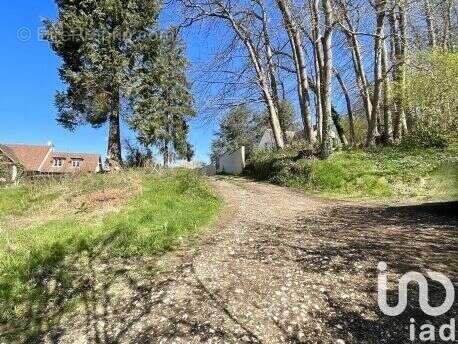 Photo 2 - Terrain à BETHEMONT-LA-FORET