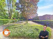 Photo 1 - Appartement à SAINTE-FOY-LES-LYON