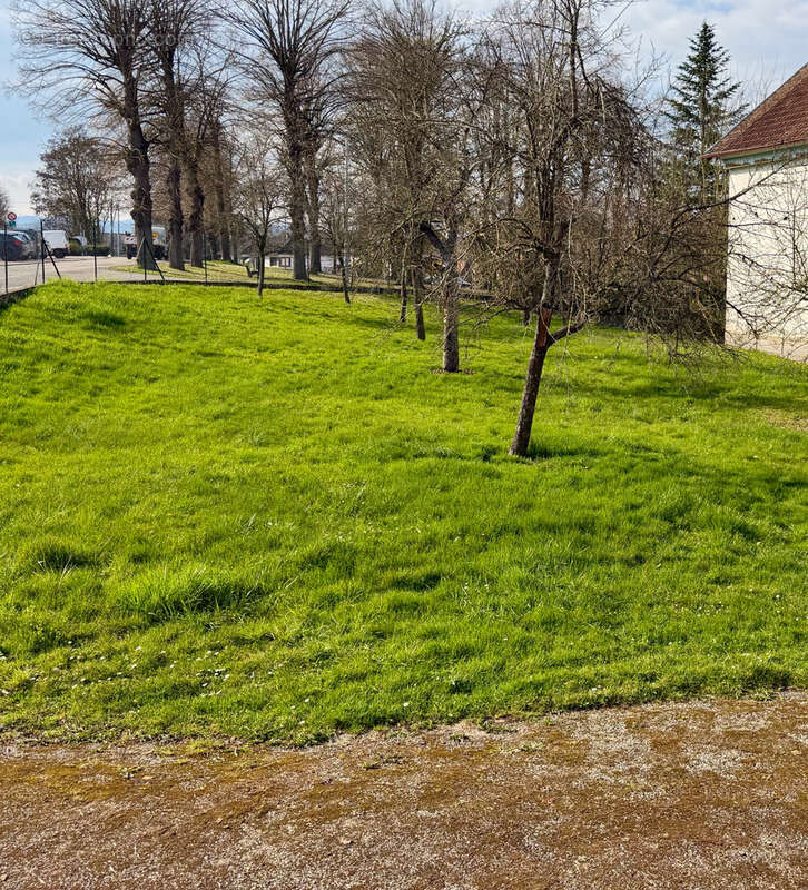 Maison à WASSELONNE