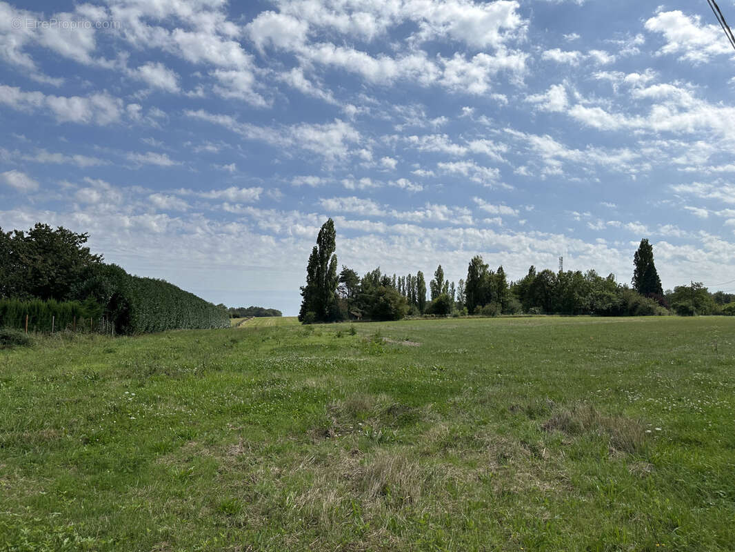Terrain à VALLERY