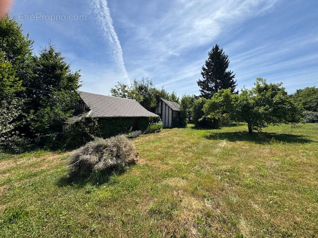 Maison de 205 m2 - 7 pièces avec 4 chambres - Dépendances - photo 3