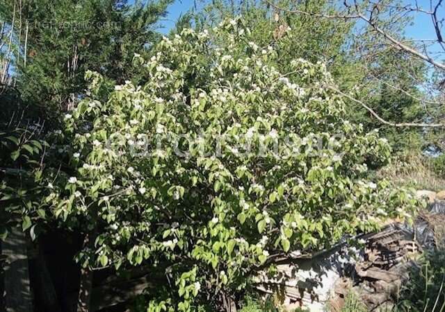 Terrain à NEZIGNAN-L&#039;EVEQUE