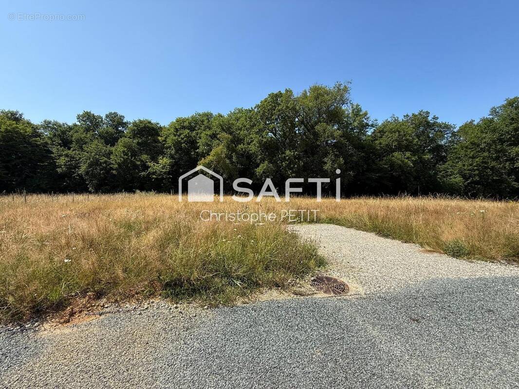 Photo 1 - Terrain à BOULIAC