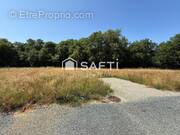 Photo 1 - Terrain à BOULIAC