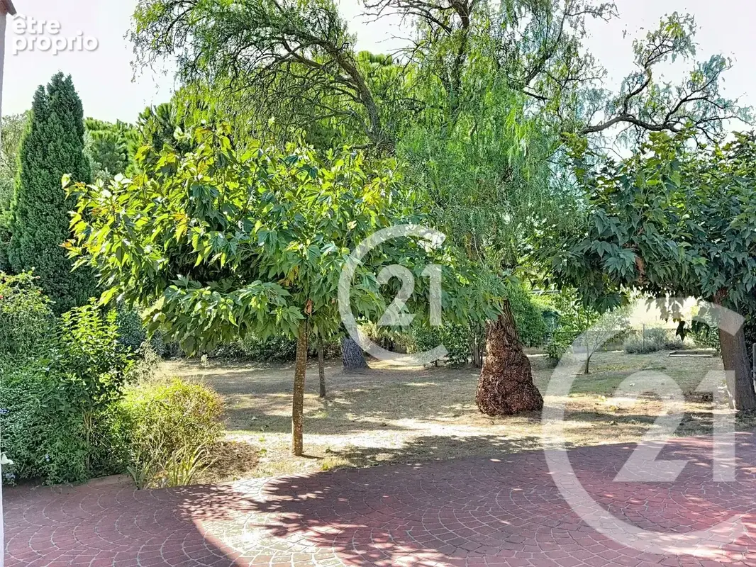Maison 4 pièces 140 m² à vendre à Montescot (66200) - photo 5