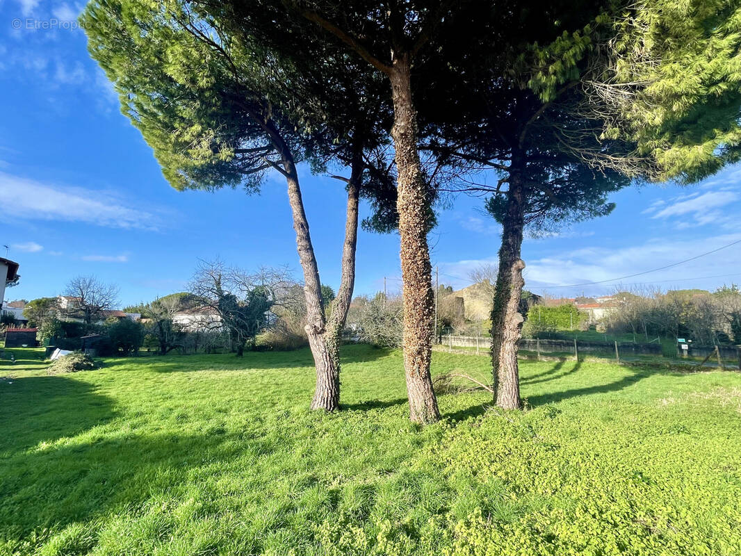 Terrain à SAINT-PALAIS-SUR-MER