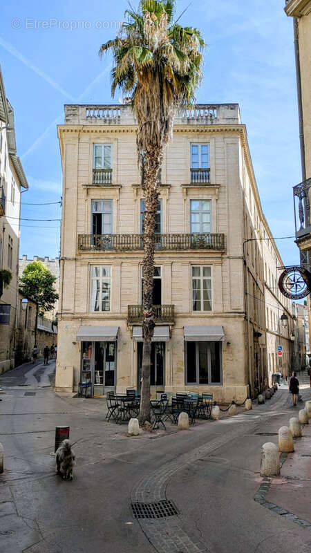 Commerce à MONTPELLIER