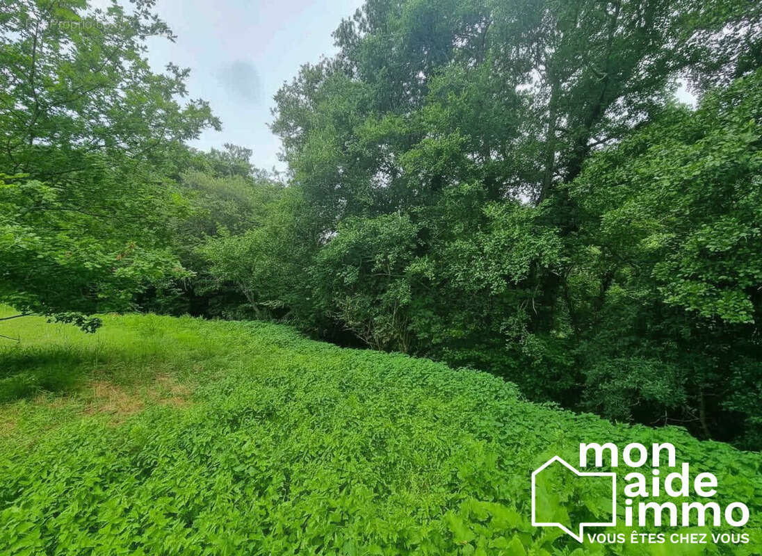 Terrain à FARGUES-SAINT-HILAIRE