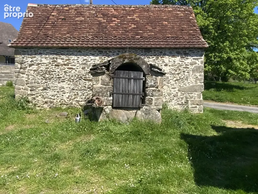 IMG3690