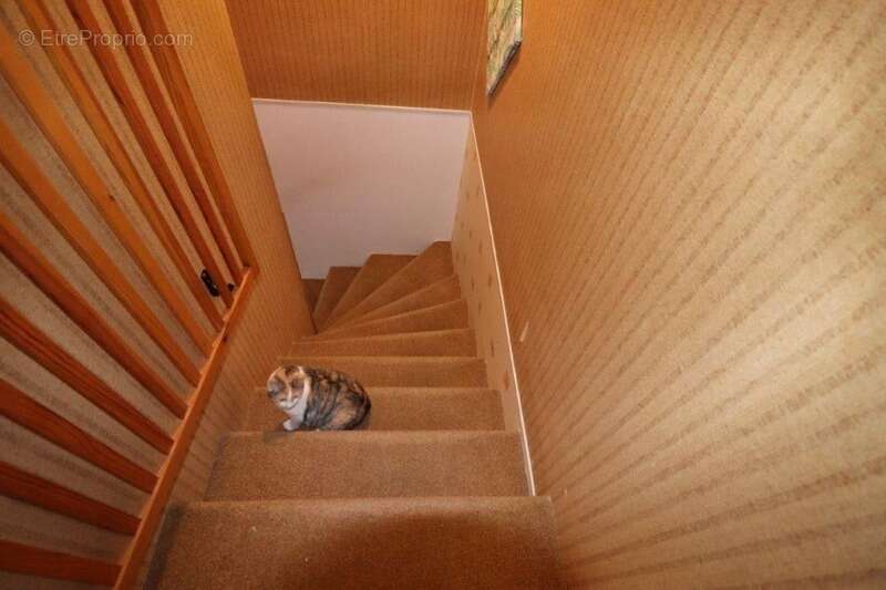 Maison à PORT-DES-BARQUES