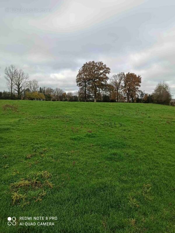 Terrain à CAMPAGNE-LES-BOULONNAIS