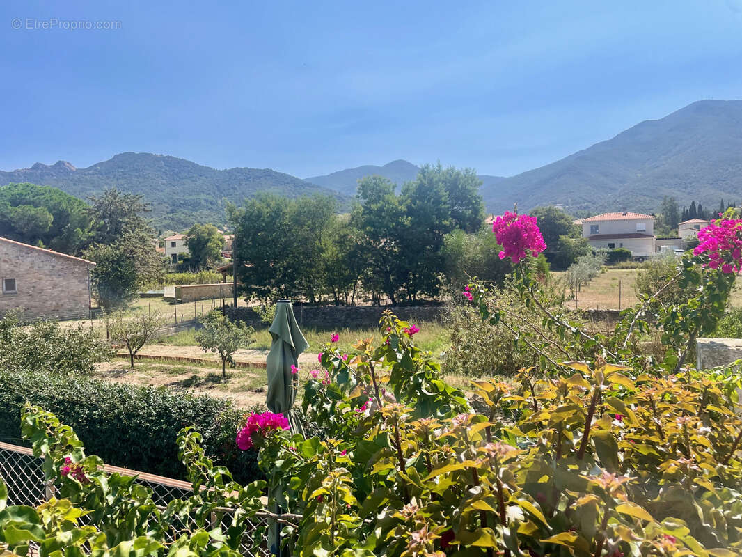 Exclusivité au pied du massif des albères : villa 4 faces rénovée de 146 m2 avec piscine et garage - photo 4
