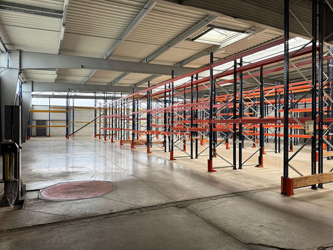 Commerce à LES SABLES-D&#039;OLONNE