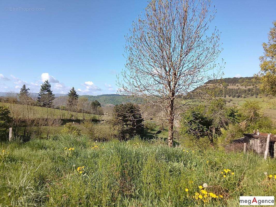 Maison en pierre + grange + 3 200 m² terrain – Cévennes - photo 12