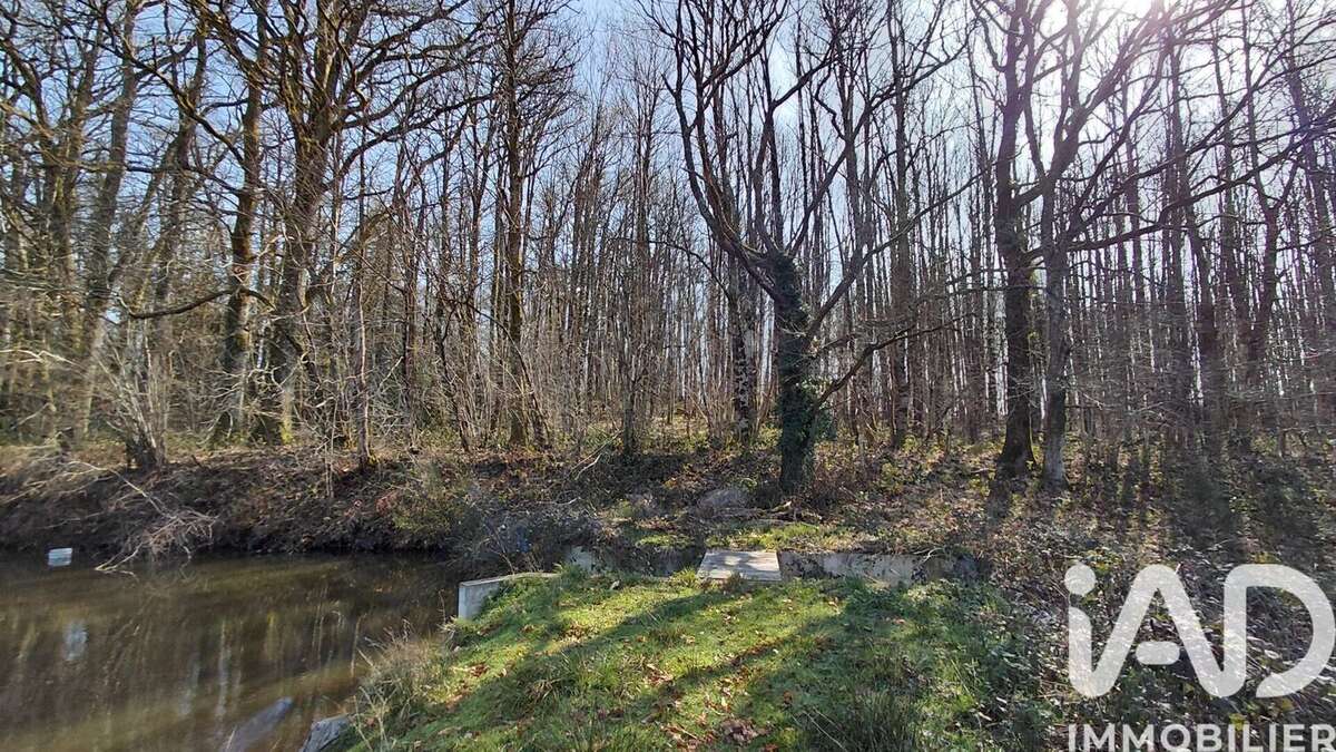 Photo 5 - Terrain à SAINT-PRIEST-LA-FEUILLE