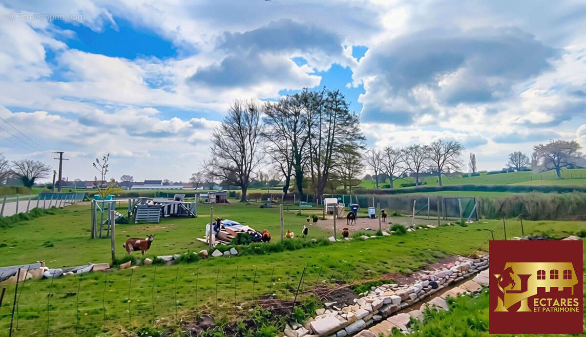 Propriété avec gîte et 3,6 ha - photo 17