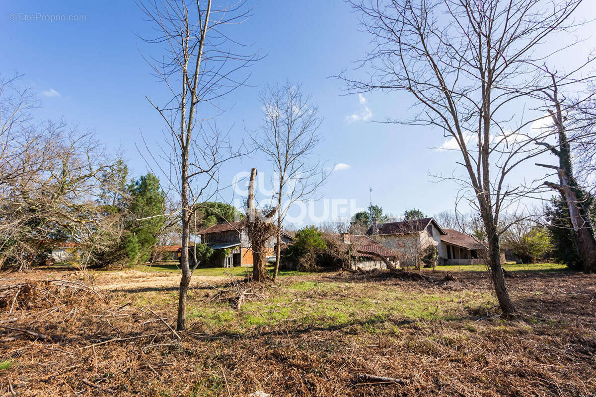 Terrain à BISCARROSSE